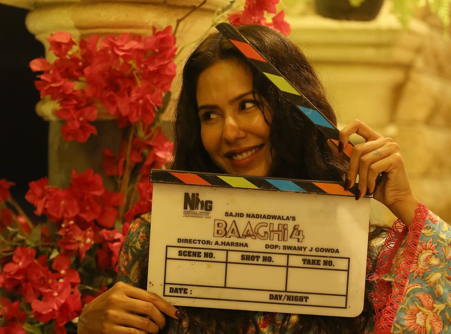 Sonam Bajwa Career