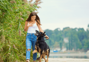 Dog Obedience Commands for a Well-Behaved Dog