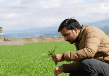 Meet Narayan Lal Gurjar