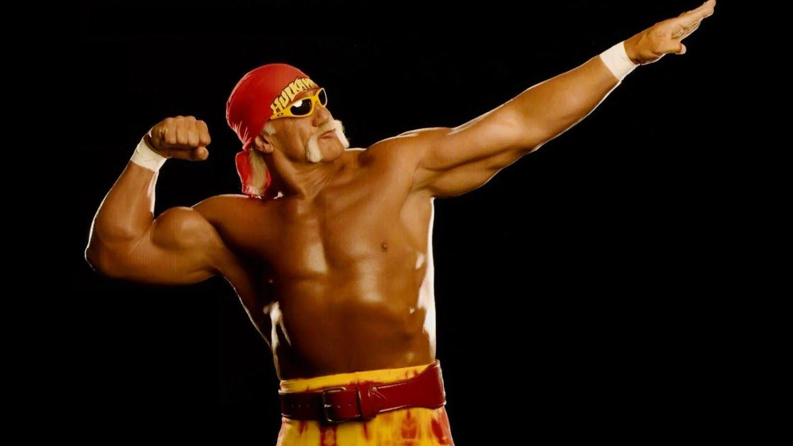 Meet WWE Legend Hulk Hogan