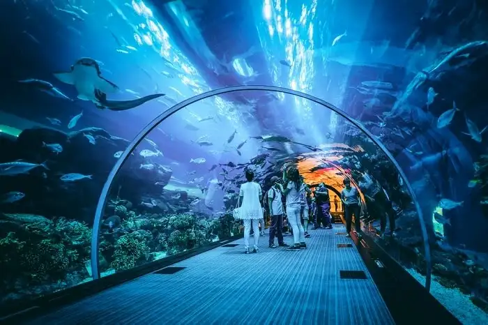 Dubai-Aquarium-and-Underwater-Zoo