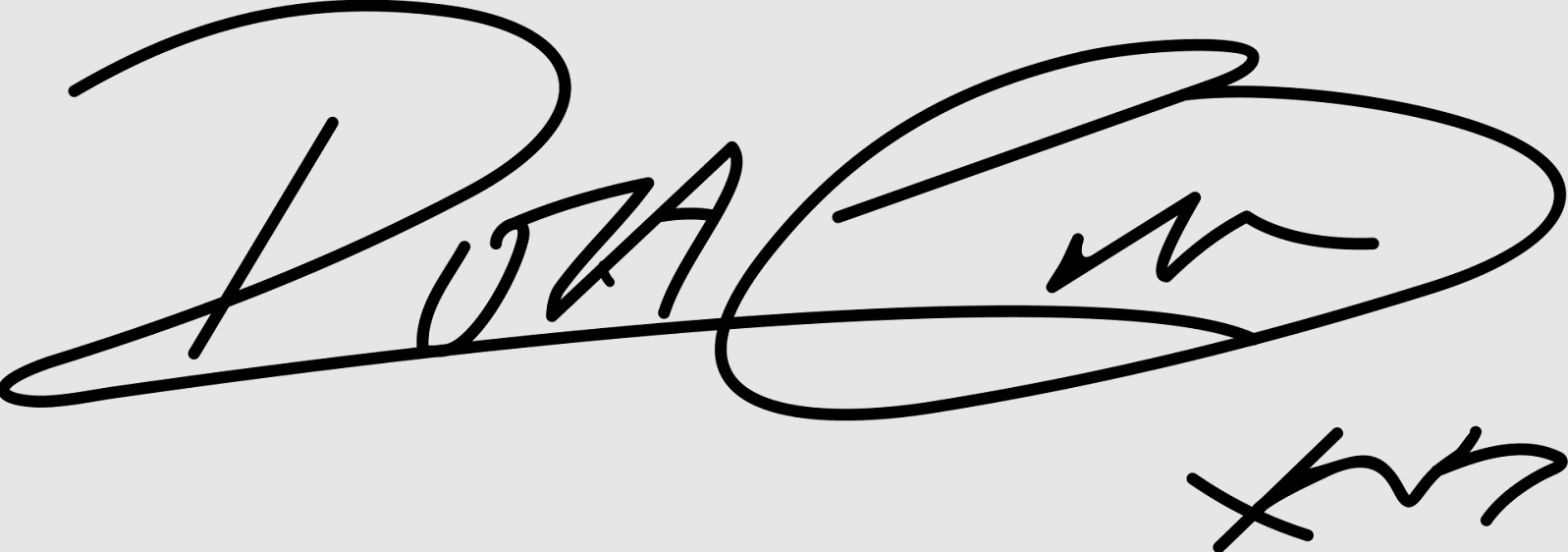 Rita Ora Signature