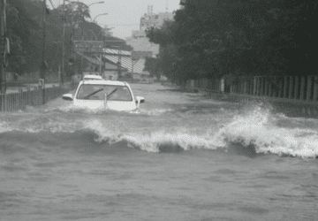 Cyclone Michaung Brings Heavy Rain