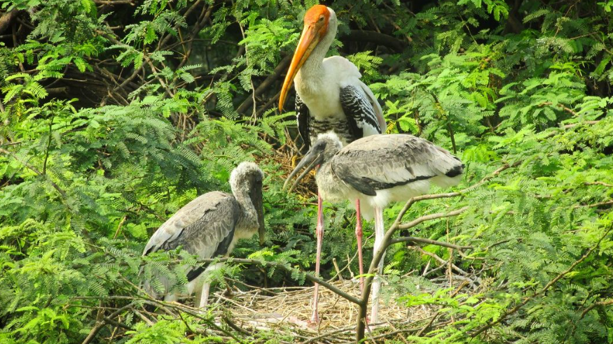 The National Zoological Park