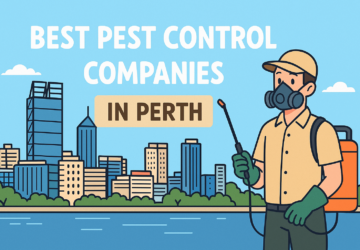 Pest Control Companies in Perth