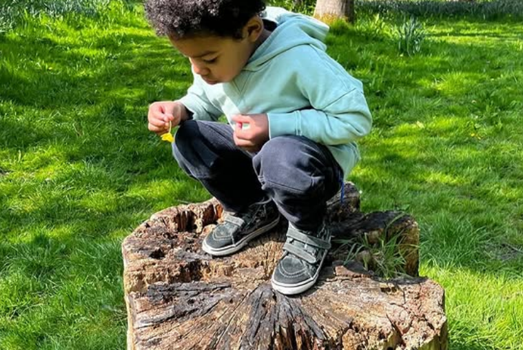 Kamali Melbourne's sun Jude