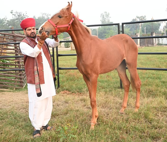 Brij Bhushan Sharan Singh Height