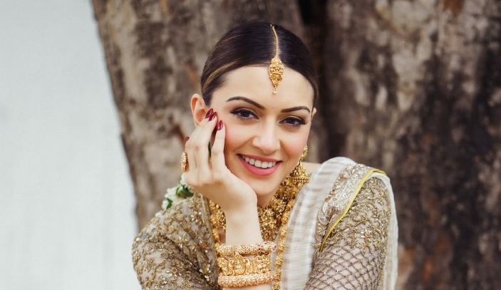 Hansika Motwani Career