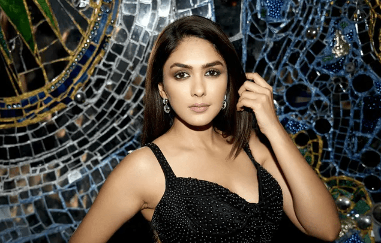 Mrunal Thakur Career