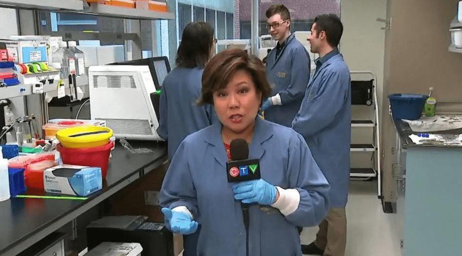 Pauline Chan Career